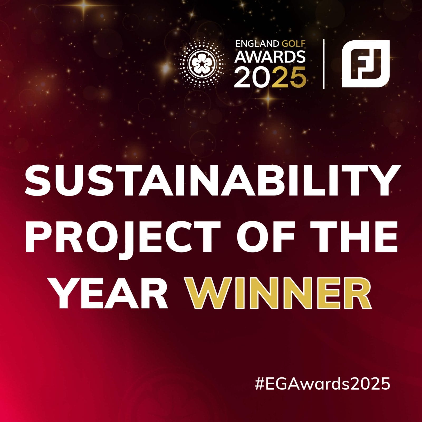 sustainability project of the year winner 2025